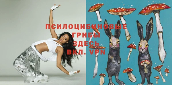 наркотики Ладушкин