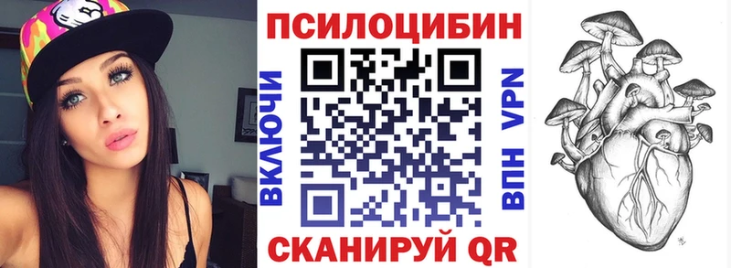 Псилоцибиновые грибы Psilocybine cubensis  Купить закладки  Пятигорск 