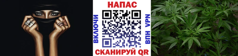 Канабис марихуана  Купить где  Пятигорск 